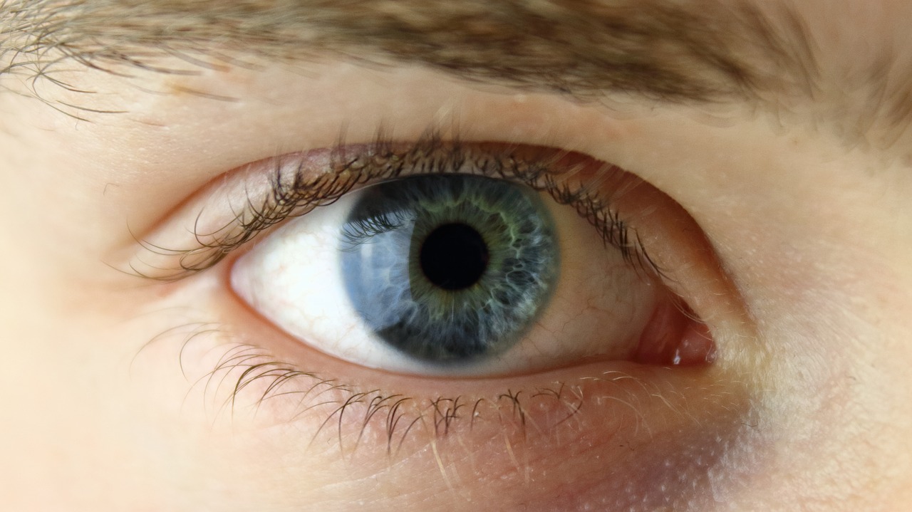 Woman's blue eye