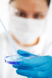 Scientist pipetting into a Petri dish