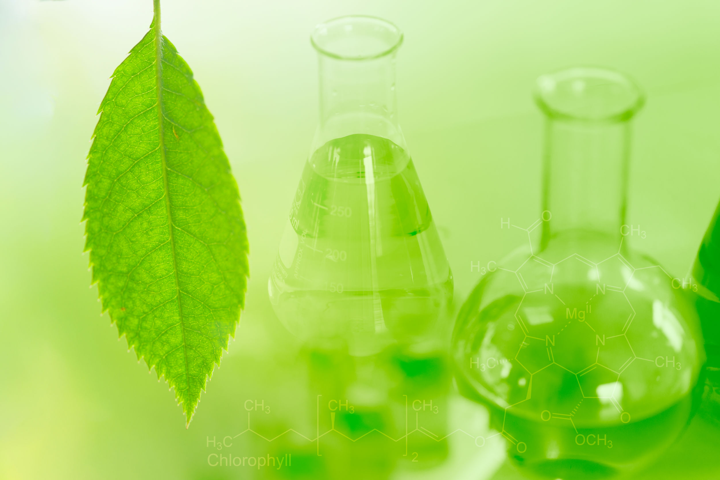 Lab equipment and leaf in green hue