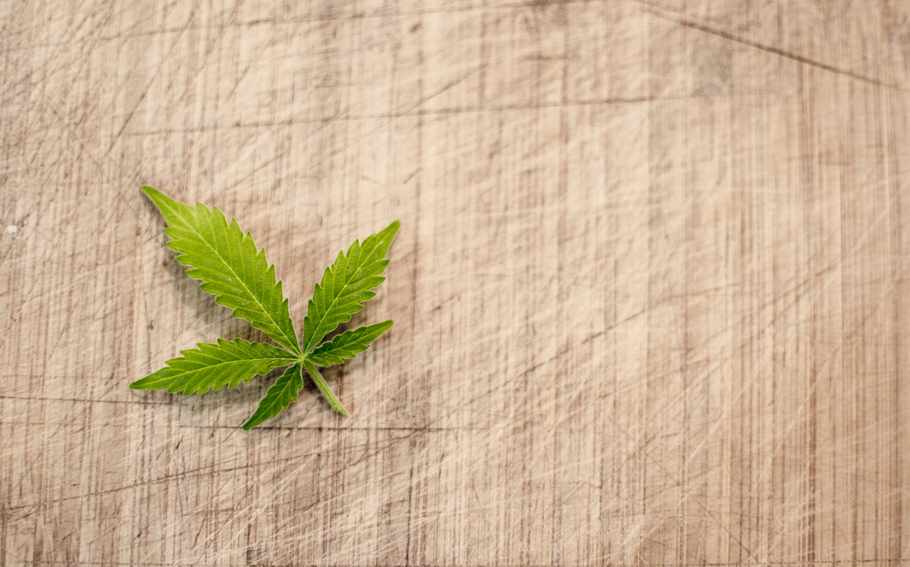 Cannabis leaf on cloth background