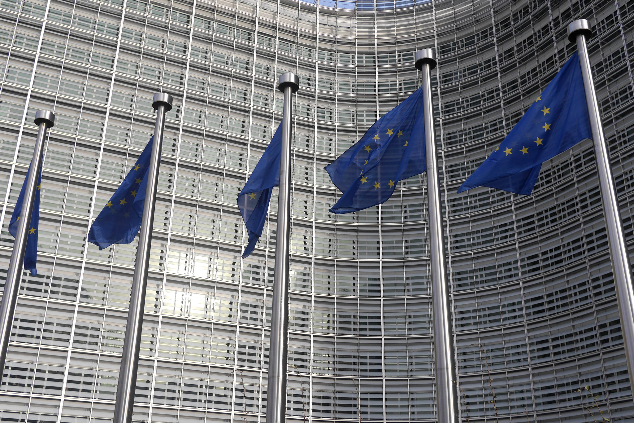 European Commission flags. Image courtesy of LIBER Europe (Flickr).
