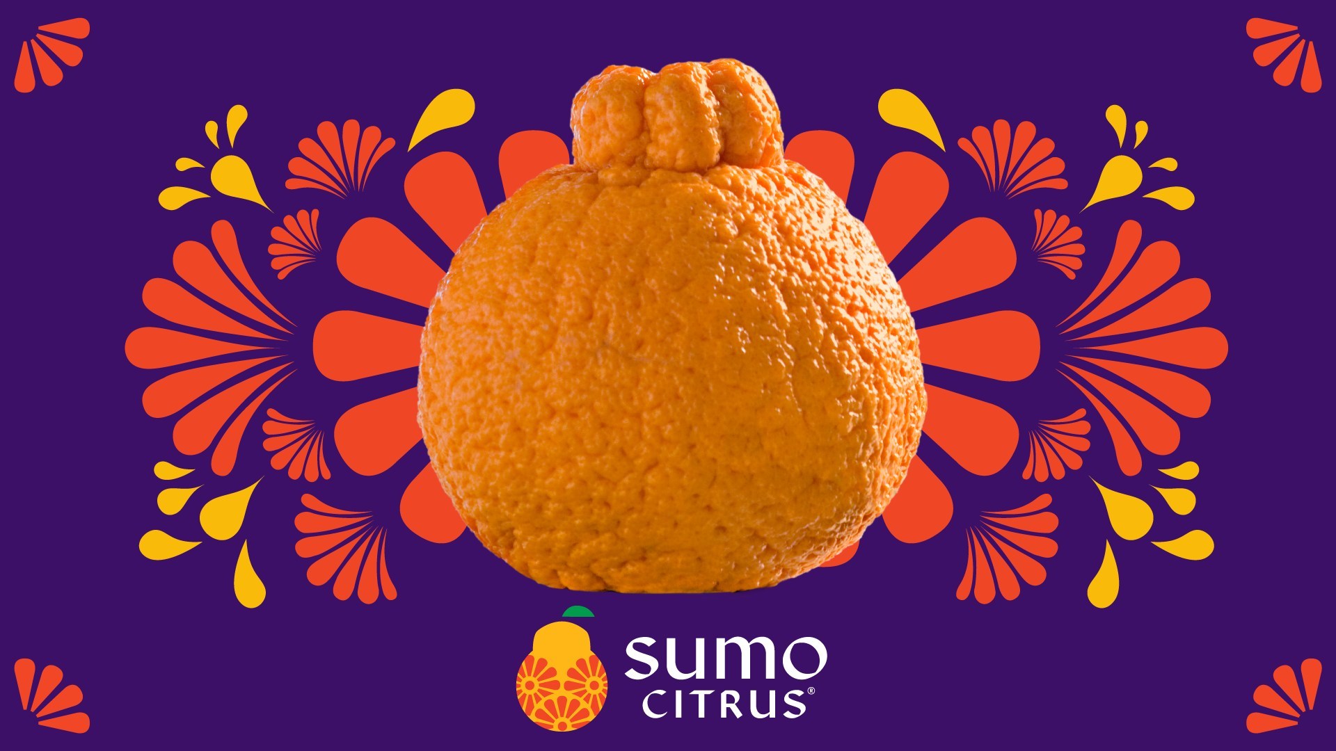 Sumo Citrus Revamps Image of Unique Fruit Xtalks