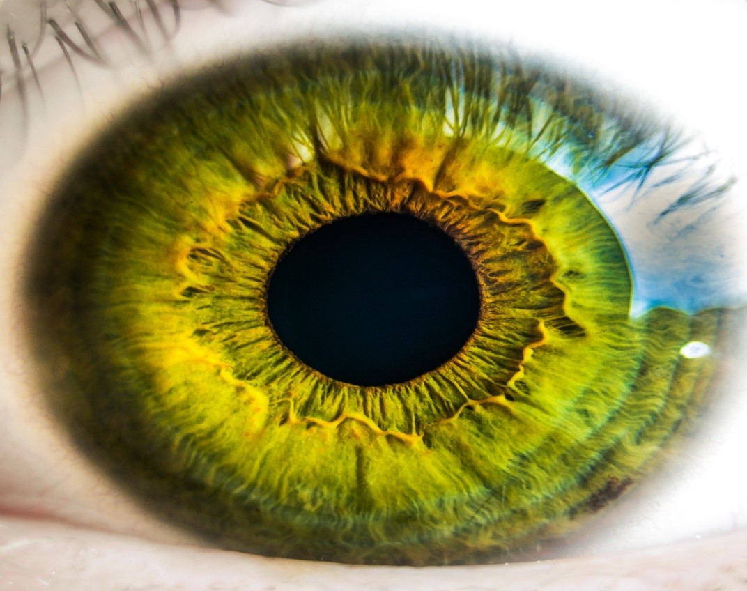 Artificial 3D eye