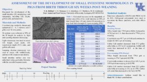 Elefson et al (2020)