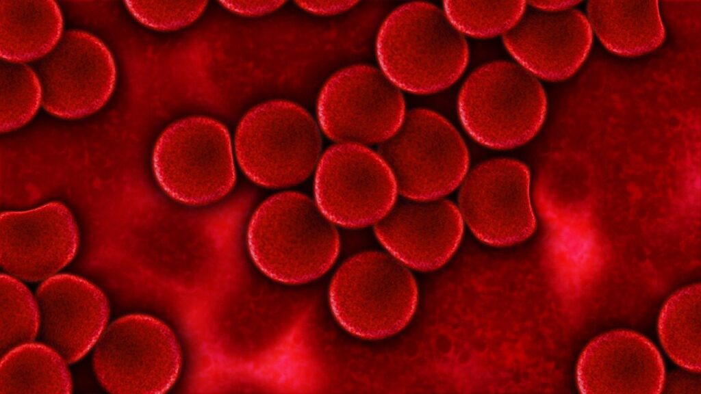 Cancer blood test