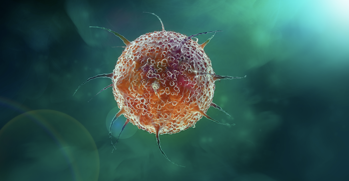 Virus
