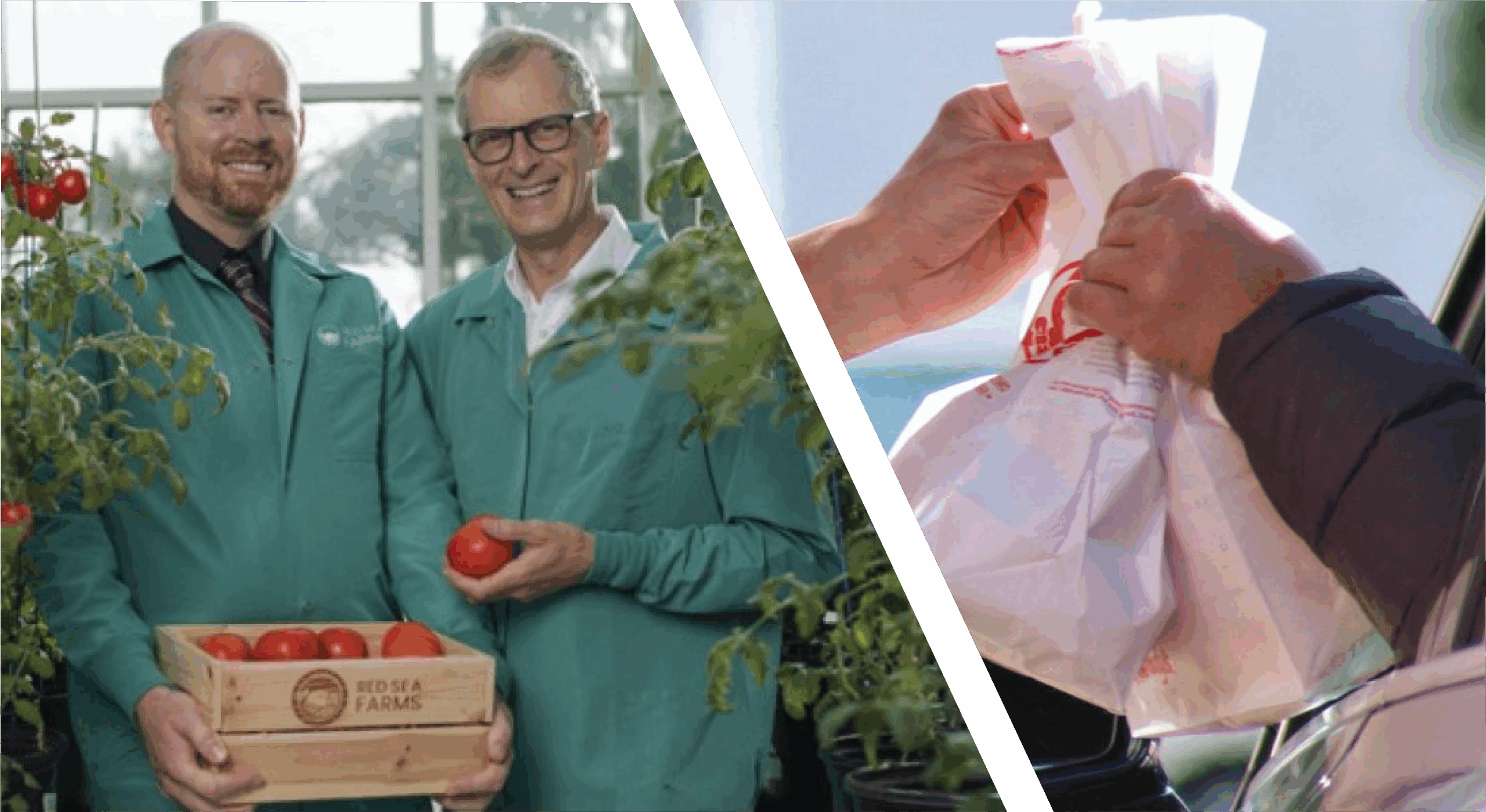 Wendy’s Delivery Kitchens + Red Sea Farms Saltwater Agriculture