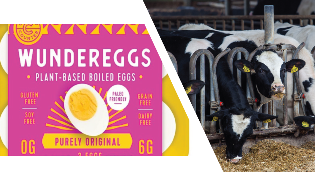 WunderEggs Plant-Based Hard-Boiled Eggs + Animal-Free Dairy Products