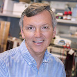 Gary H. Perdew, PhD