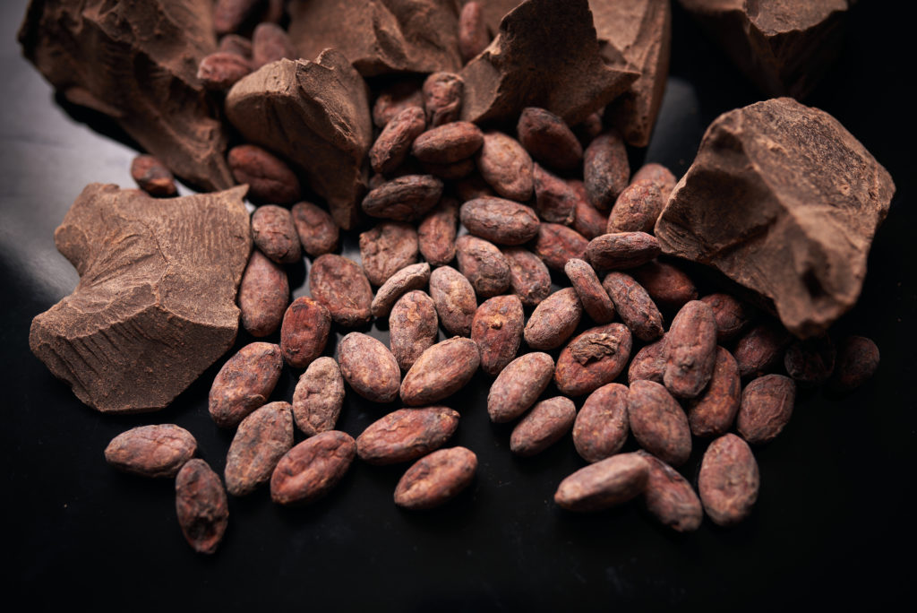 Cell-based chocolate