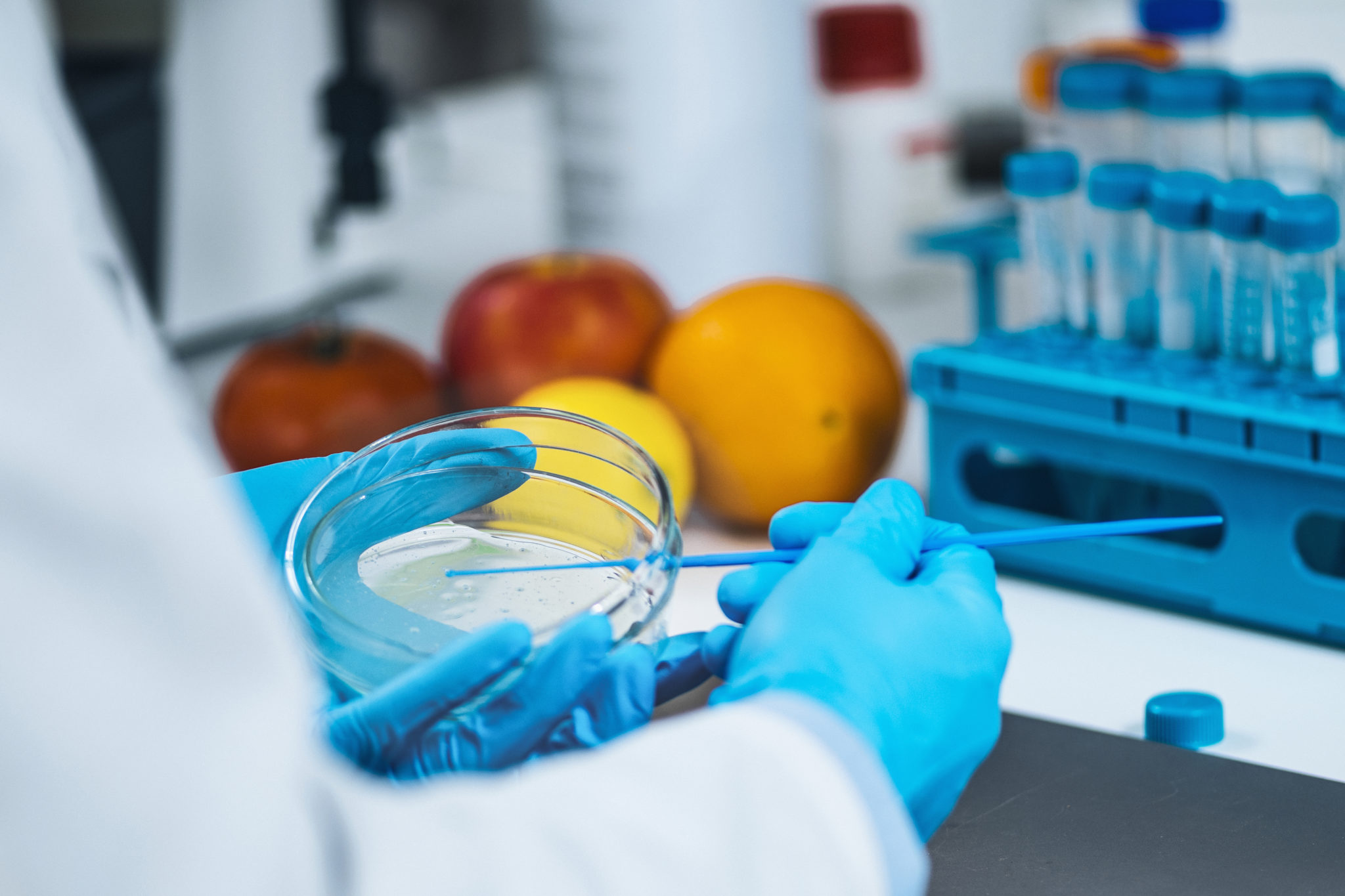Pathogenia New Food Safety Testing Tool Can Detect Multiple Foodborne Illness ...