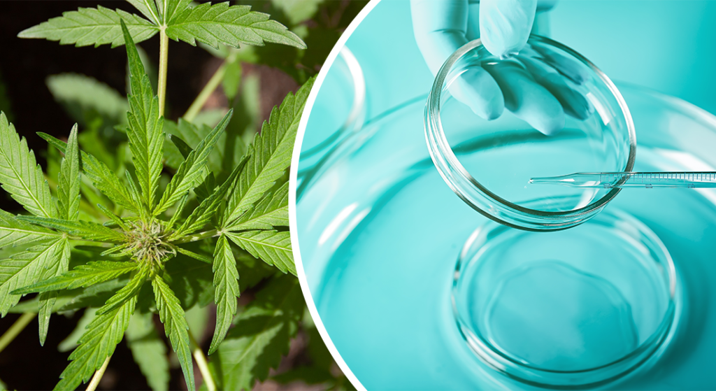 Xtalks Life Science Podcast