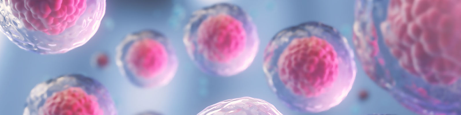 Stem-Cell Hero image