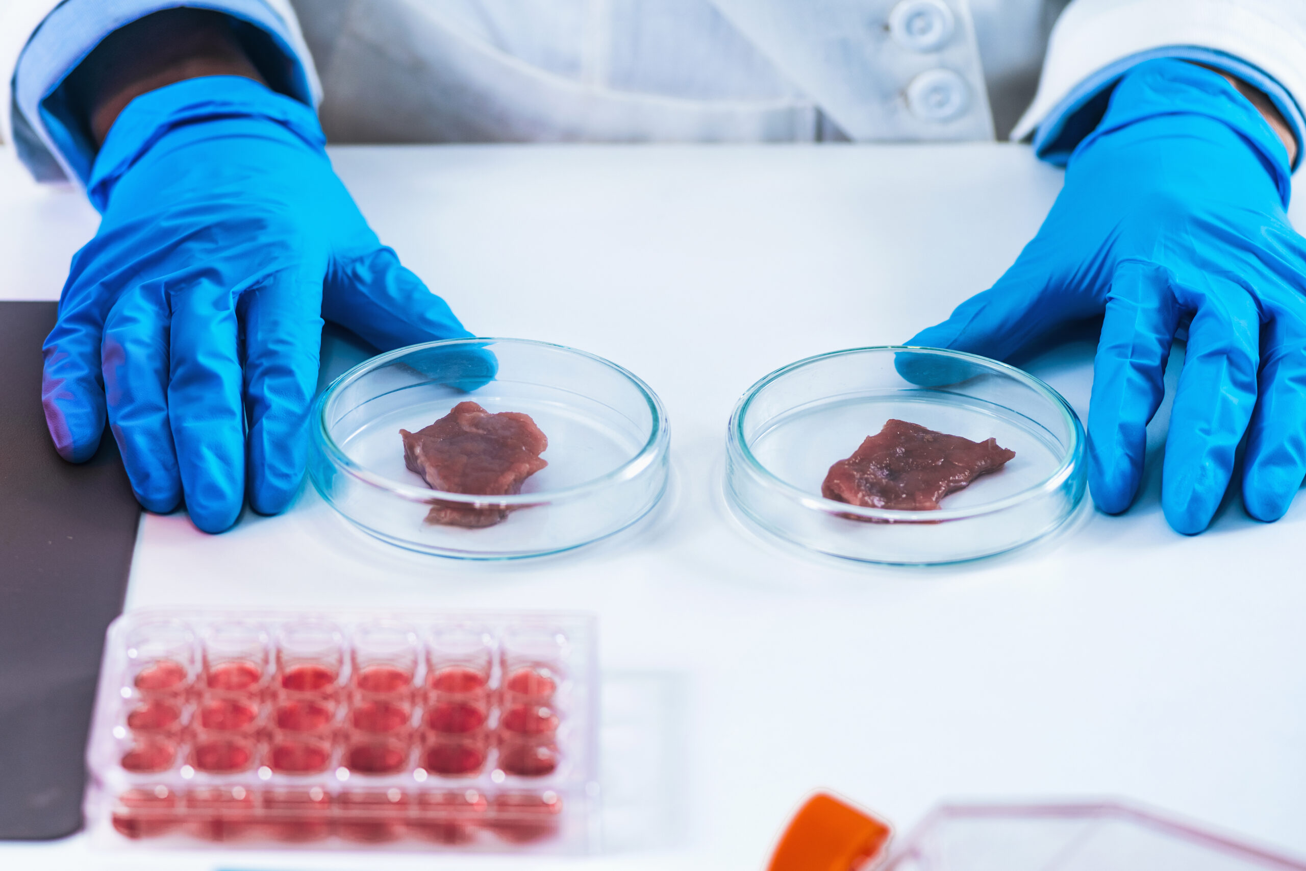 Lab-Grown Meat Ban