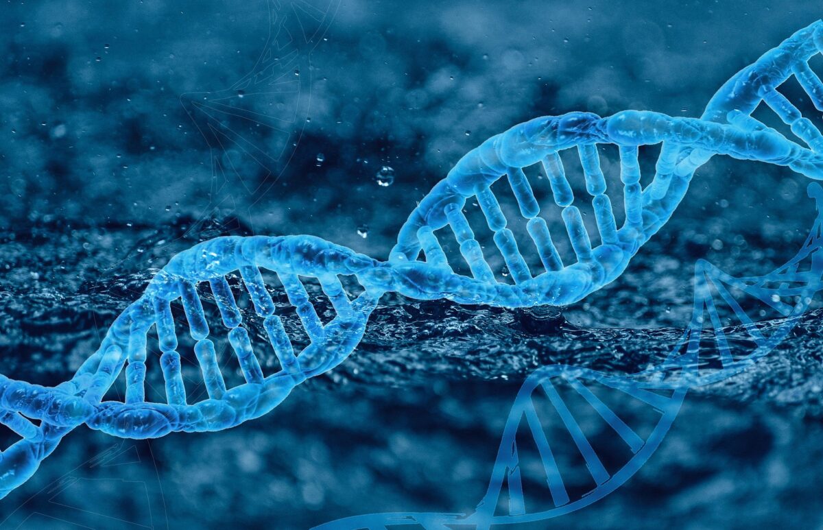 Ultima Genomics and Genome Insight aim to make whole genome sequencing (WGS) more affordable for cancer patients.