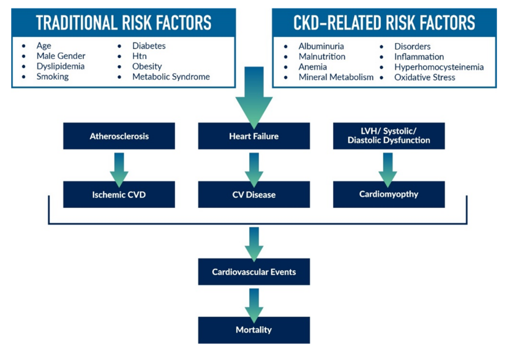 Cardiovascular Clinical Trials