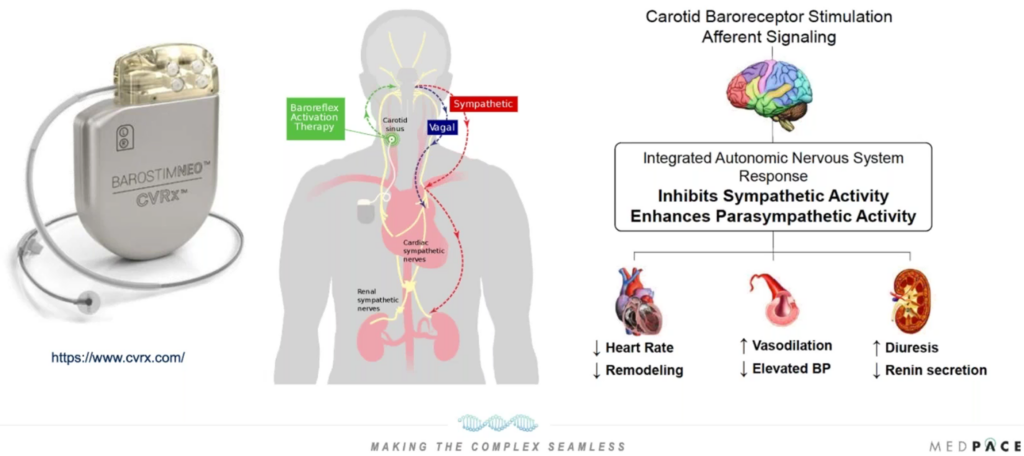 cardiovascular device development