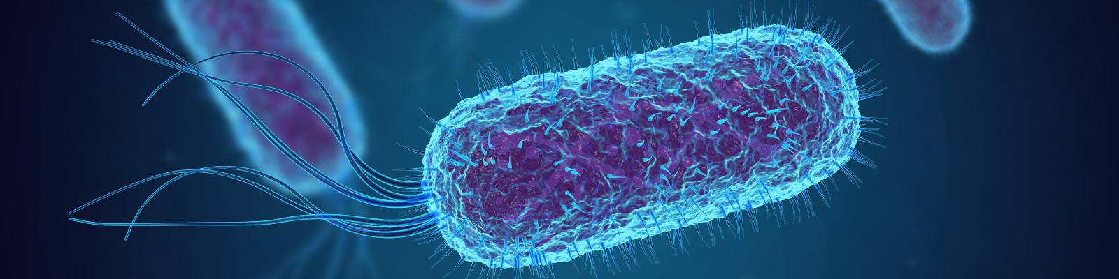 E. Coli X-talk Hero Image