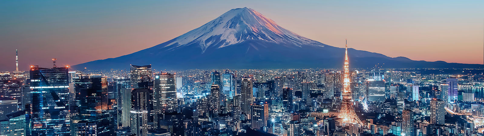 Tokyo city at sunset