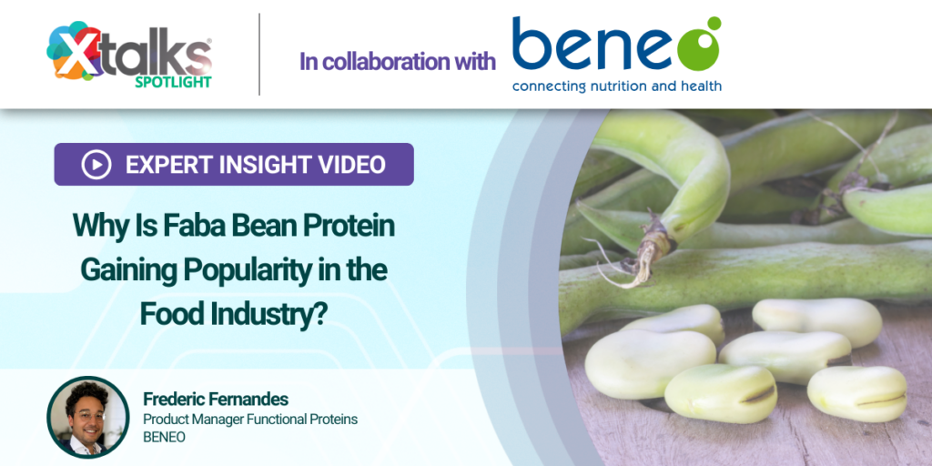 faba bean protein