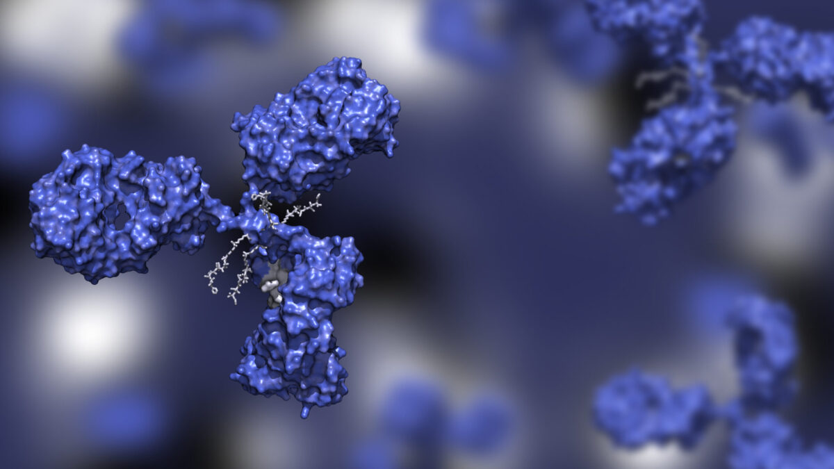 AI Drug Discovery