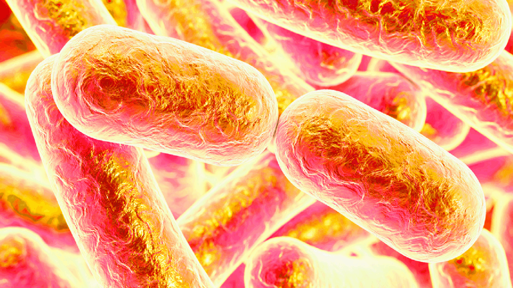 microbial process development