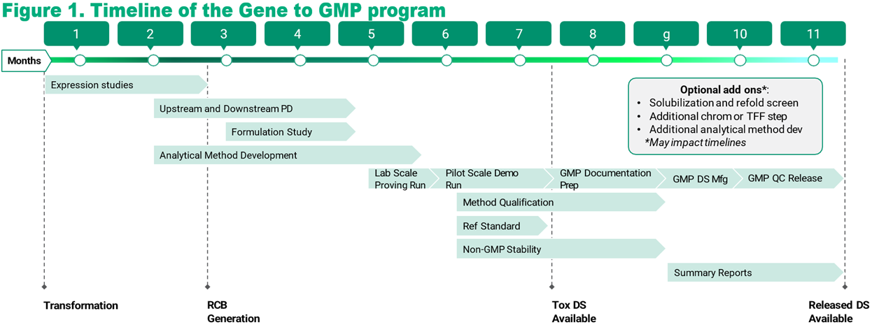 microbial process development