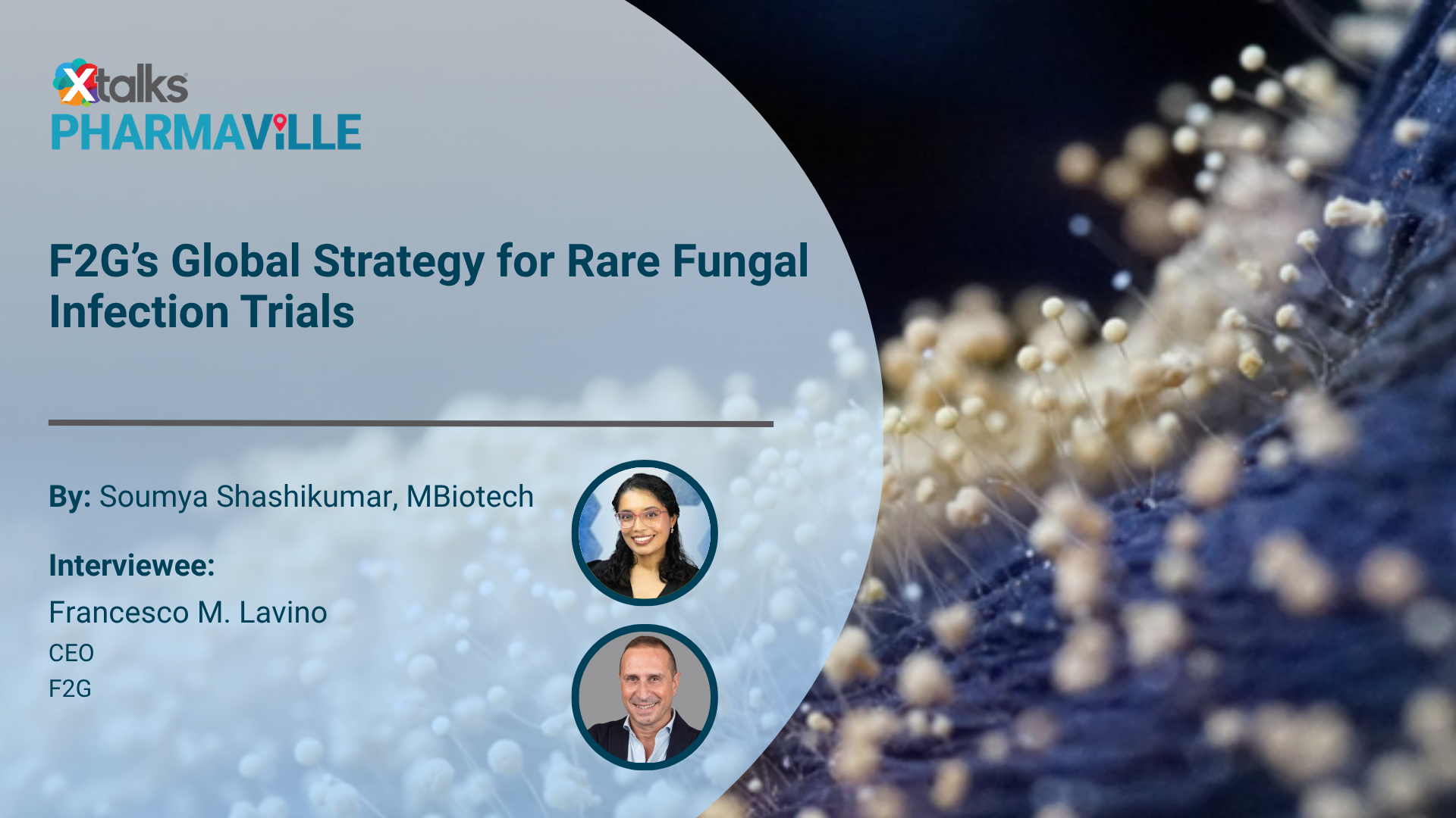 rare fungal infection trials