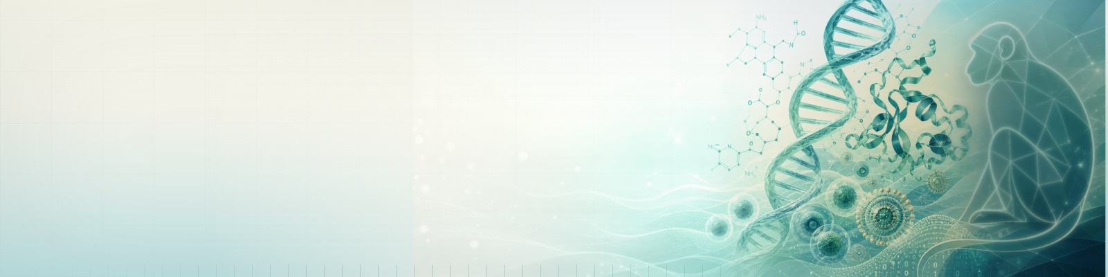 Hero - Desktop