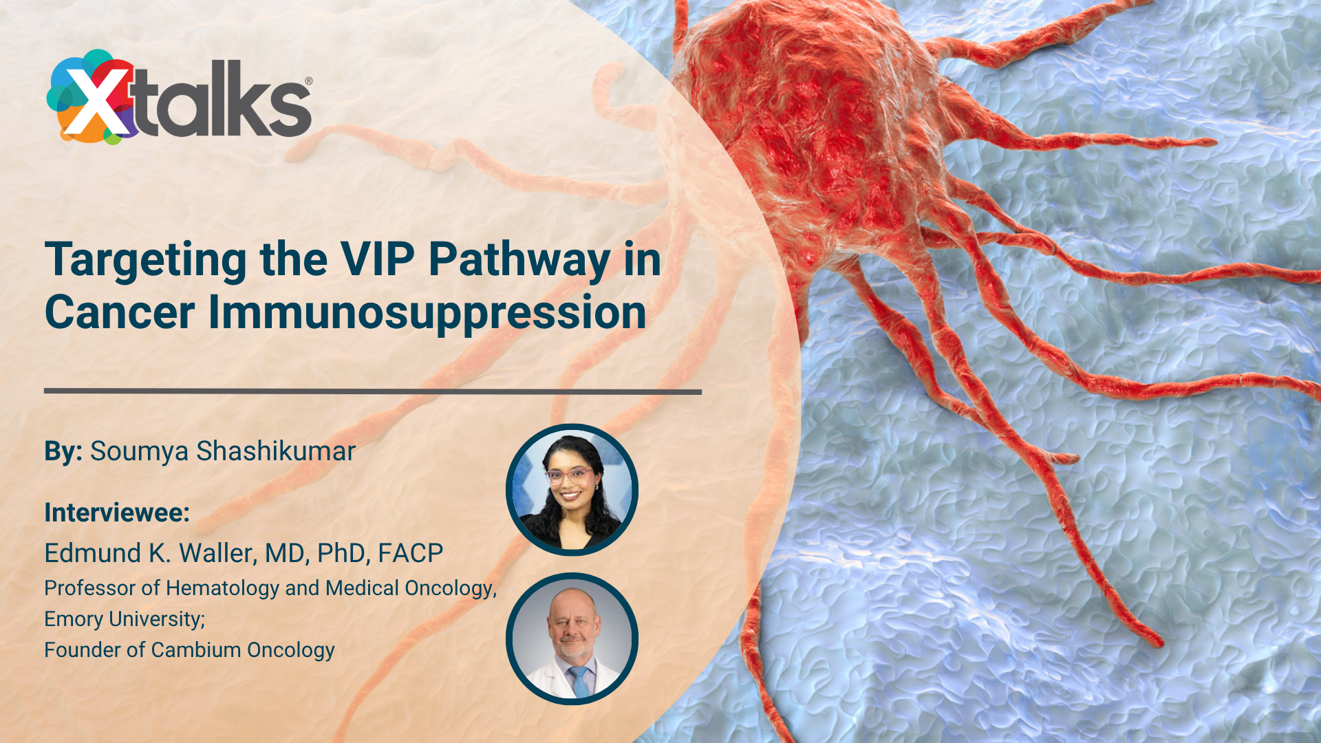 Targeting VIP Signaling in Cancer Immunosuppression